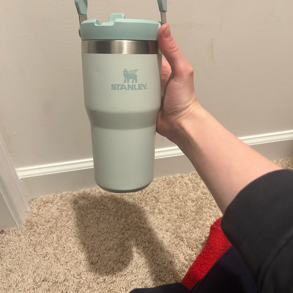 Stanley Light Green Travel Mug with Silver Band